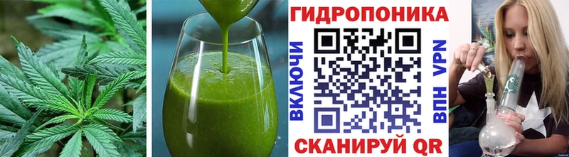 Печенье с ТГК конопля  blacksprut как зайти  Сольвычегодск 